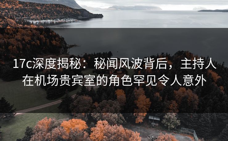 17c深度揭秘：秘闻风波背后，主持人在机场贵宾室的角色罕见令人意外