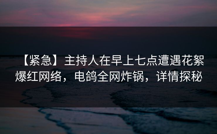 【紧急】主持人在早上七点遭遇花絮 爆红网络，电鸽全网炸锅，详情探秘