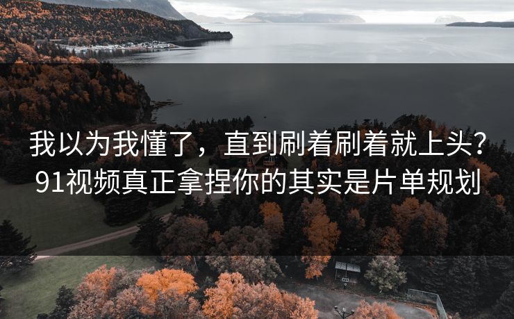 我以为我懂了，直到刷着刷着就上头？91视频真正拿捏你的其实是片单规划